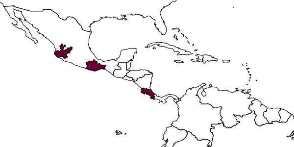 map of Perditorulus trispinus     Hansson, 1996